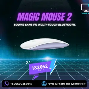 Magic Mouse 2 (Neuf)